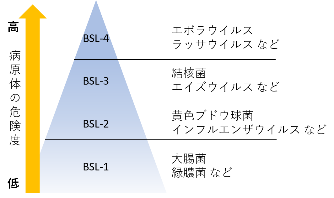 バイオセーフティレベル（BSL）の分類例