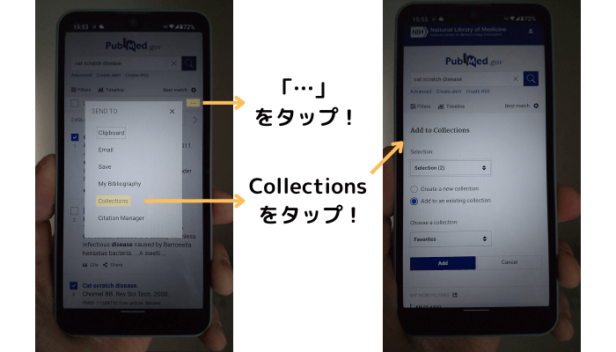 PubMedでCollections機能を利用する